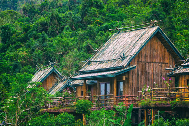 Rise of Eco-Lodges