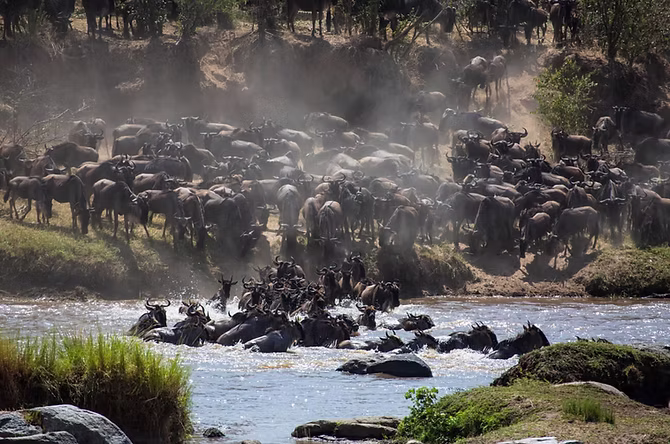 self-drive camping safari